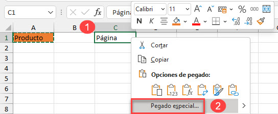 Opción de Pegado Especial en Excel
