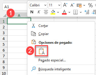 Pegar Contenido del Portapapeles en Excel