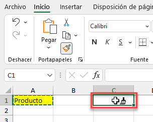 Pegar Selección de Copiar Formato en Excel