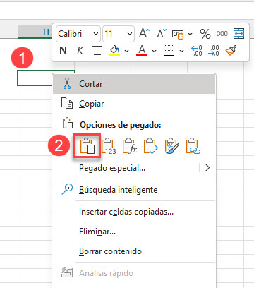 Pegar Selección en Excel