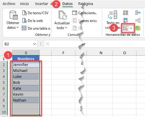 Botón Validación de Datos