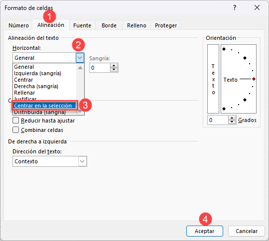 Formato de Celdas Centrar en Selección en Excel