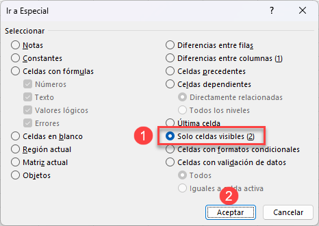 Ir a Especial Solo Celdas Visibles en Excel