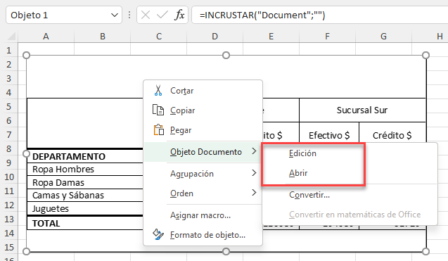 Editar o Abrir Objeto Word en Excel