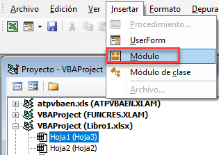 Insertar Módulo en VBA Excel