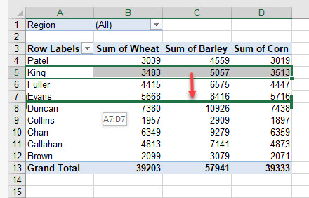 pivot sort drag field