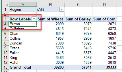 pivot sort filter select region