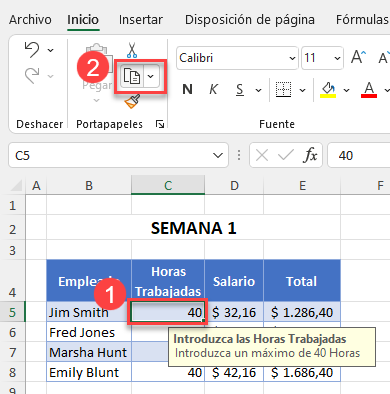 Copiar Validación de Datos