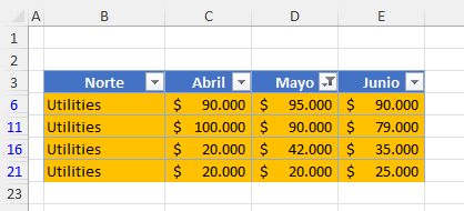 Filas Filtradas por Color en Excel