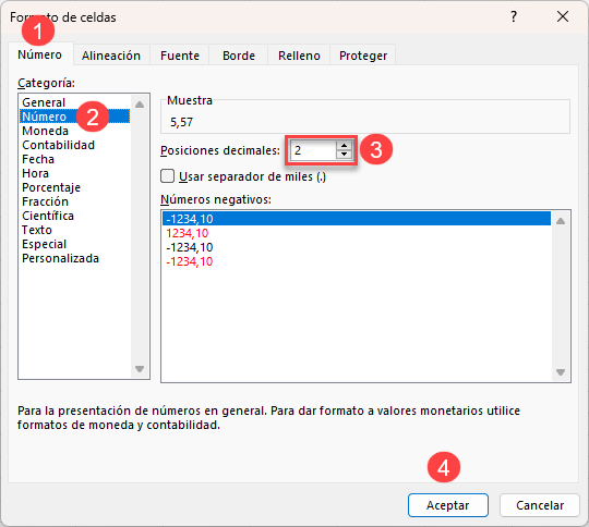 Formato de Número Personalizado a Dos Decimales en Excel