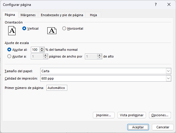 Función de Configuración de Página en Excel