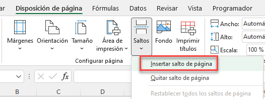 Insertar Saltos de Página