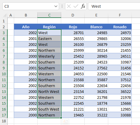 Rango de Datos Seleccionado en Excel