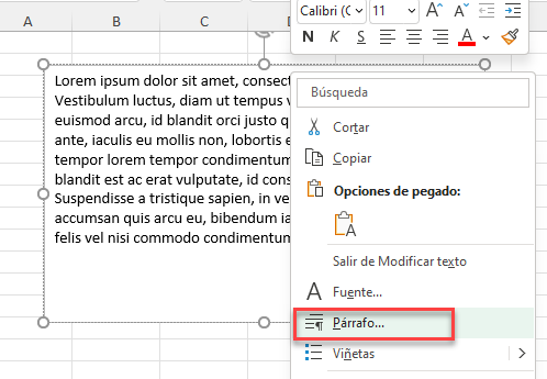 Seleccionar Opción Párrafo de Cuadro de Texto