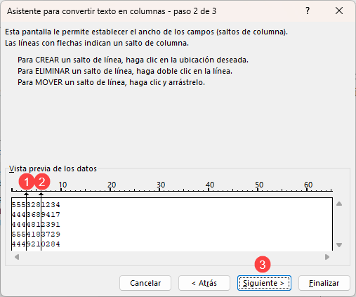 Ventana Asistente para Convertir Texto en Columnas 2 de 3