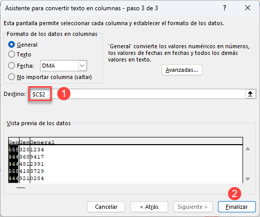 Ventana Asistente para Convertir Texto en Columnas 3 de 3