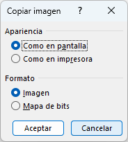 Ventana Copiar Imagen en Excel