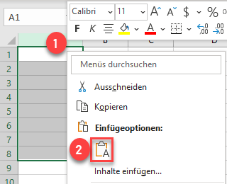 CSV Daten in Spalte Einfuegeoptionen