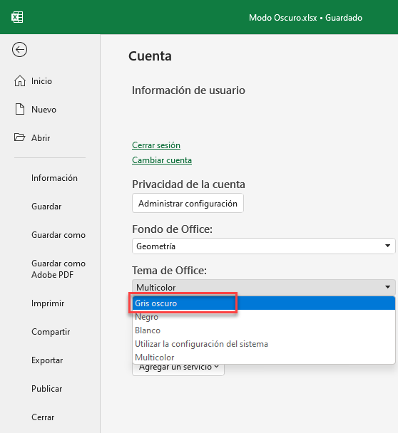 Elegir Tema de Office Gris Oscuro