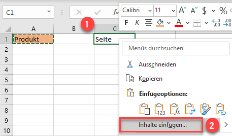 Kopierte Inhalte in Zelle einfuegen