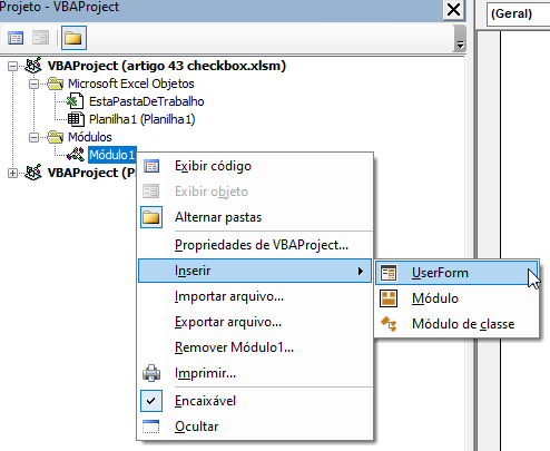 menu inserir userform