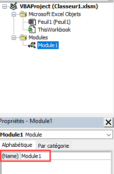 propriete nom module explorateur projet editeur vbe