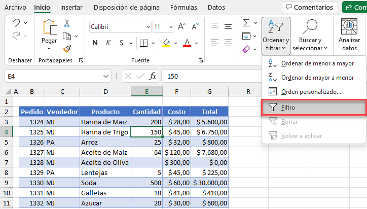 Activar Filtro en Excel