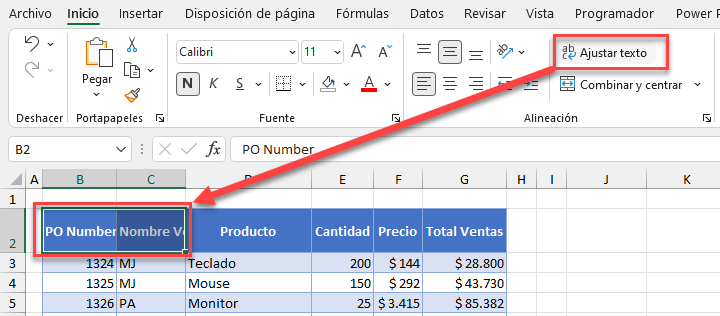 Filtro Avanzado No Funciona en Excel - Automate Excel