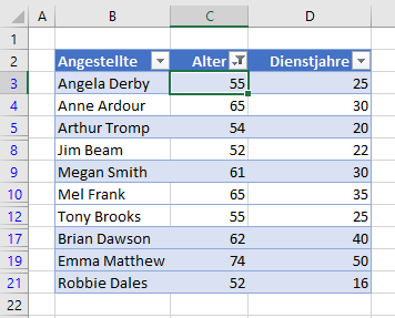 AutoFilter Funktion in Excel