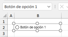 Botón de Opción Insertado