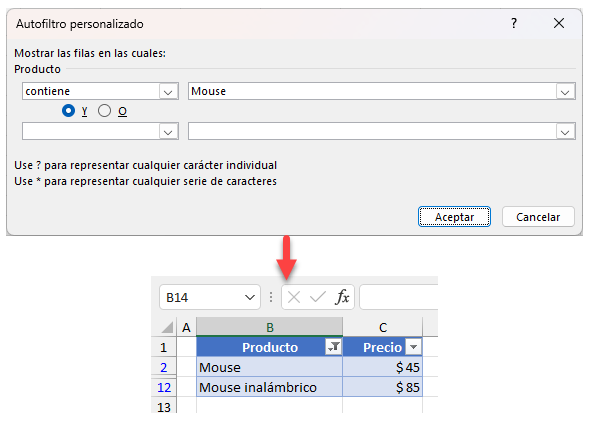 Cómo Utilizar el Autofiltro Personalizado en Excel