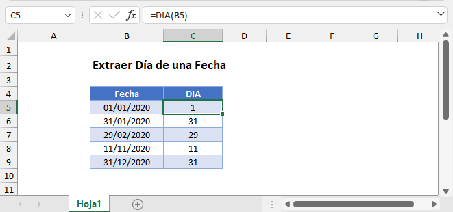 Extraer Día de una Fecha en Excel