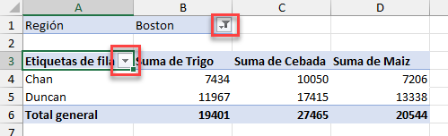 Filtros de Tabla Dinámica