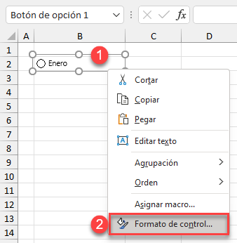 Formato de Control de Botón de Opción