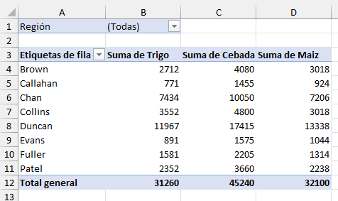 Muestra de Tabla Dinámica Filtro por Región