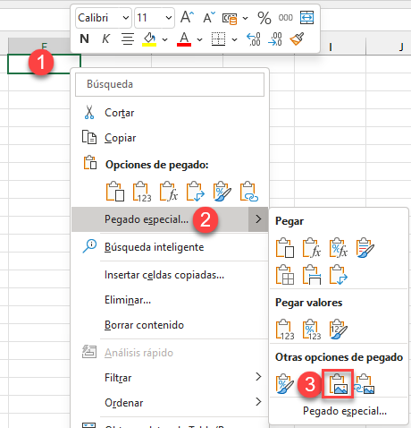 Pegar como Imagen en Excel