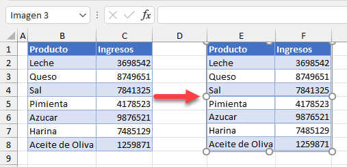 Resultado Pegar como Imagen en Excel