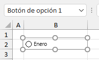 Texto de Botón de Opción Modificado