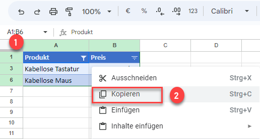 gefilterte Daten in Excel kopieren GS