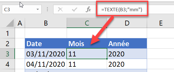 vba fonction texte mois