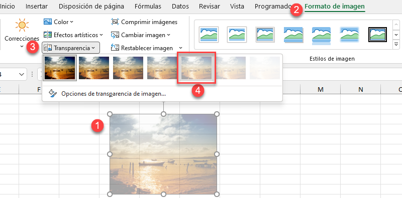 Ajustar Transparencia de Imagen desde Cinta de Opciones