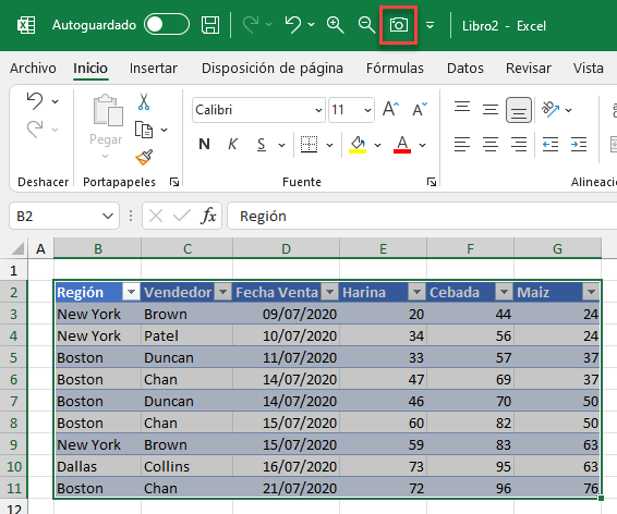 Aplicar Botón Cámara a Tabla de Datos