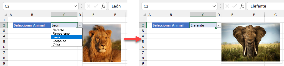 Insertar Imagen en Celda Automáticamente en Excel