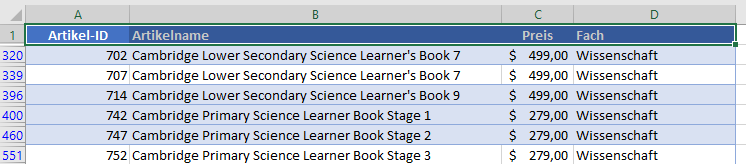 Spezialfilter in Excel anwenden