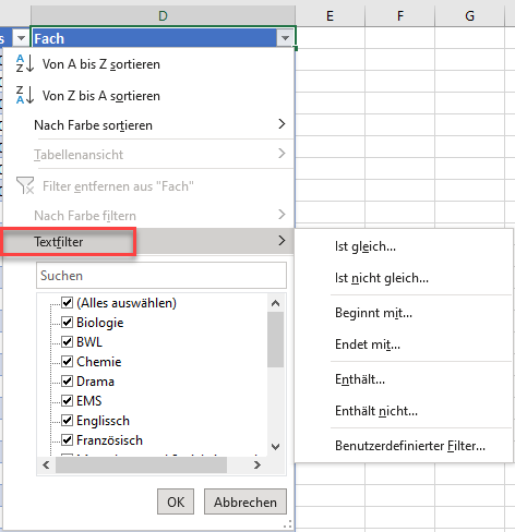Textfilter in Excel erstellen