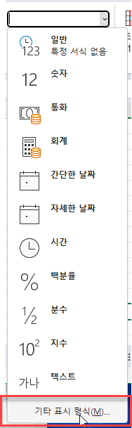 기타 표시 형식