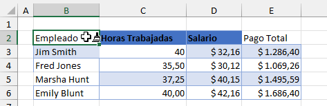 Activar el Copiador de Formato