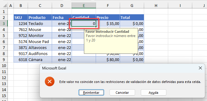 Error al Introducir Datos No Válidos