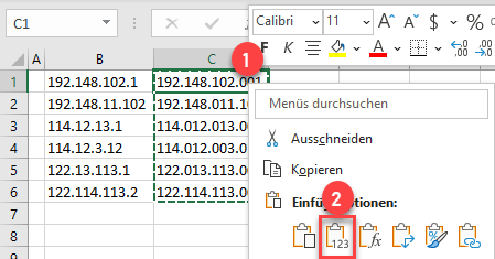 Formatierte IP Adressen einfuegen