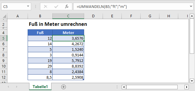 Fuss in Meter umrechnen Hauptfunktion